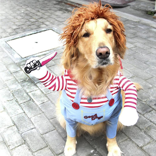 Dog Halloween Costume